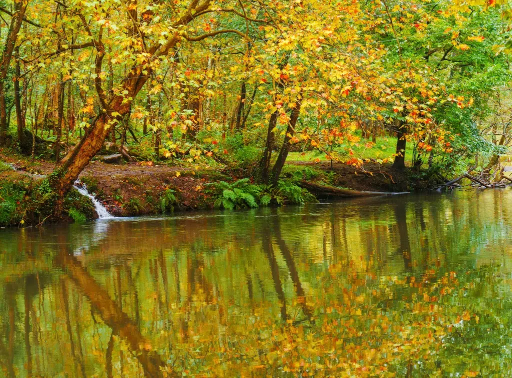 El río Urumea, en Hernani. Por poliki
