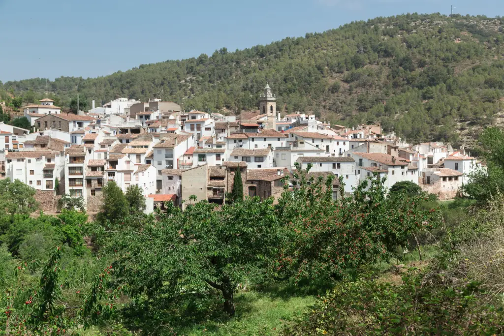 Aín (Castellón)