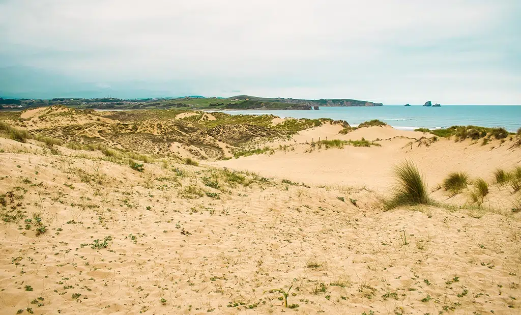 Playa del Parque Natural de las Dunas de Liencres
