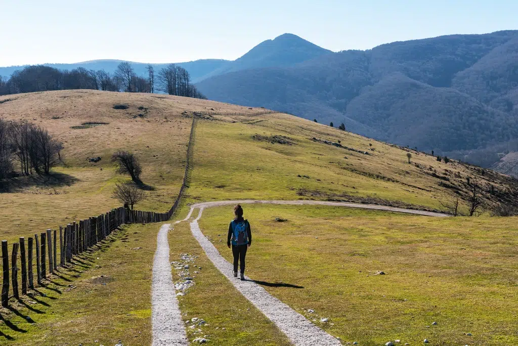 Camino a Sorogain, en los Pirineos. Por Néstor MN