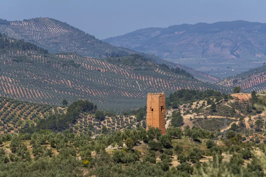 Torres de Santa Catalina de Orcera (Jaén). Por Tolo