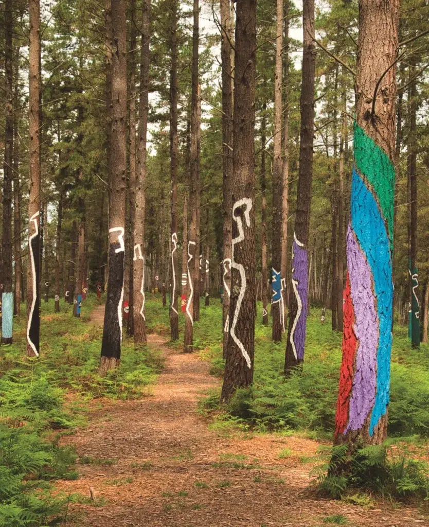 Árboles pintados en el Bosque de Oma