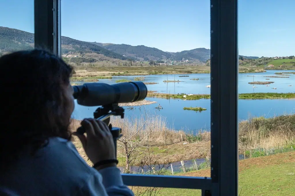Mujer observando aves desde una ventana