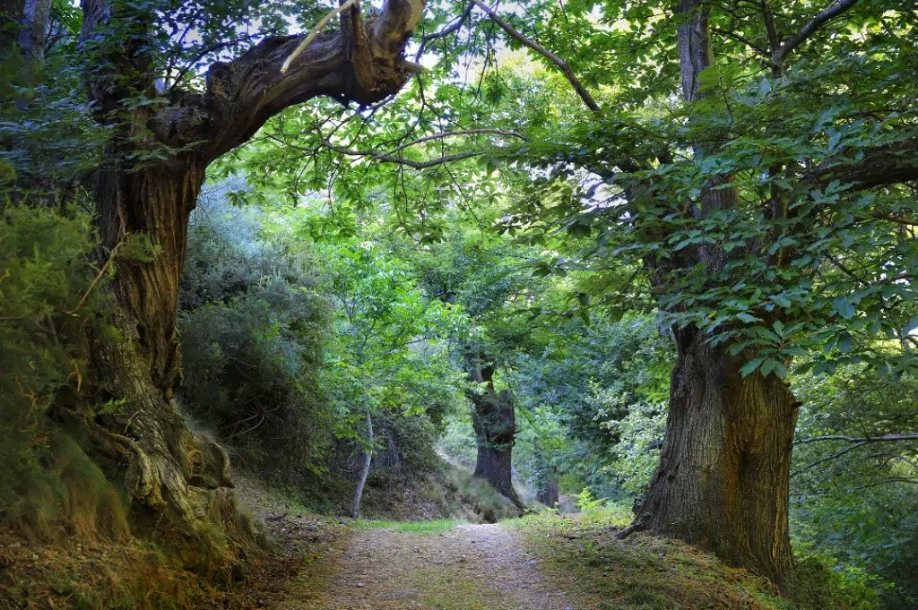 Senderismo en San Facundo. Cortesía de Ricardo Vila.