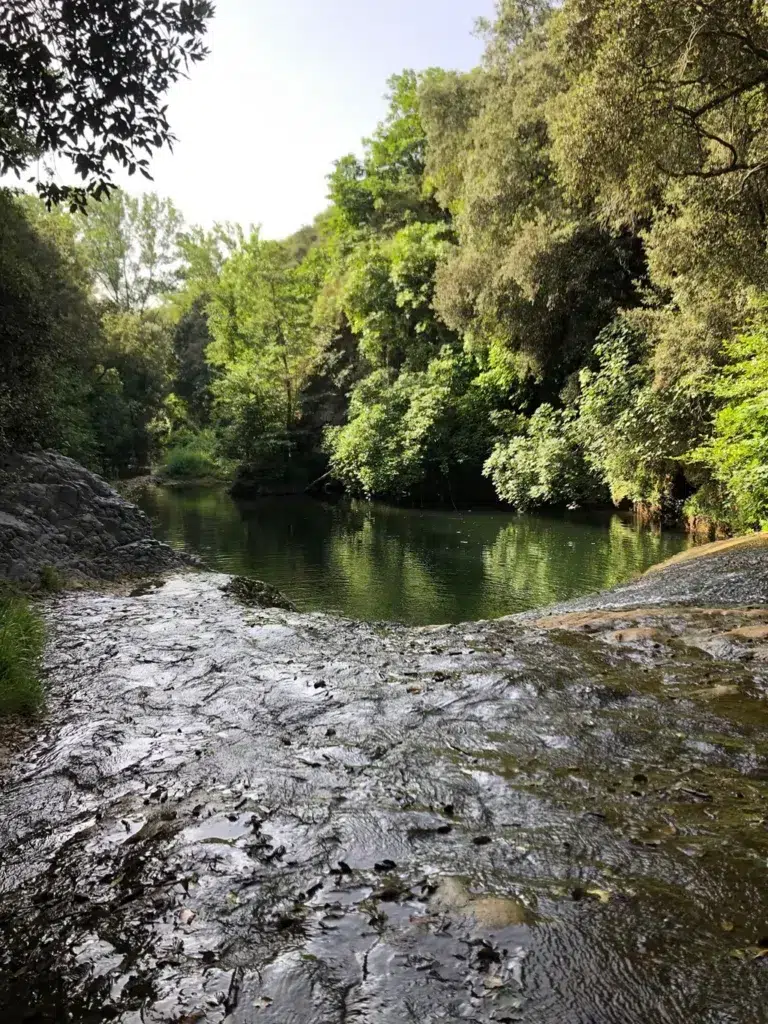 Gorg de La Mola, en Sant Feliu de Pallerols (Girona).