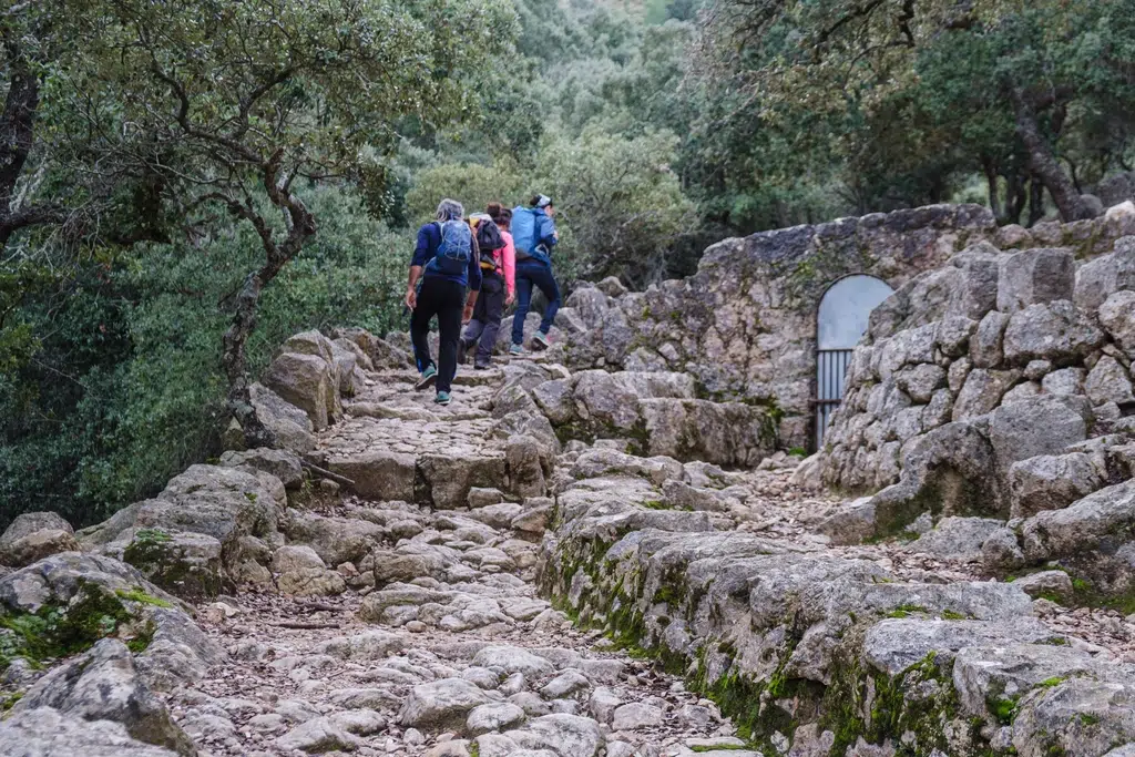 Camí Vell para subir al Monasterio de Lluc de Mallorca. Por Tolo