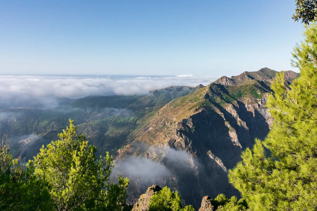 Sierra de la Almijara. Otívar, Granada