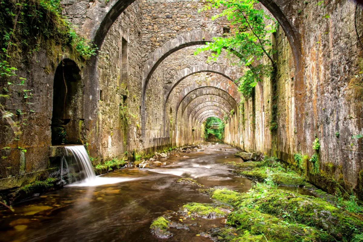 La fábrica de armas abandonada en Navarra: una joya industrial que la naturaleza intenta ocultar