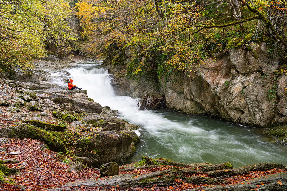 Los bosques más encantadores de Navarra en otoño