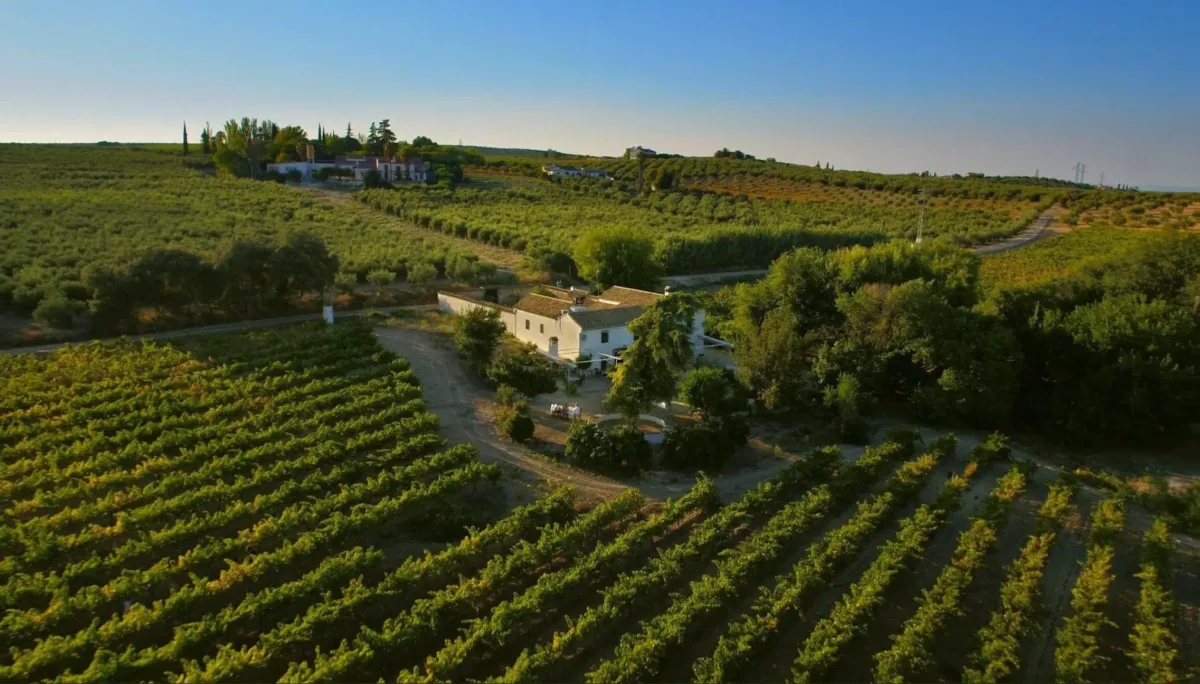6 casas rurales para participar en la vendimia este otoño