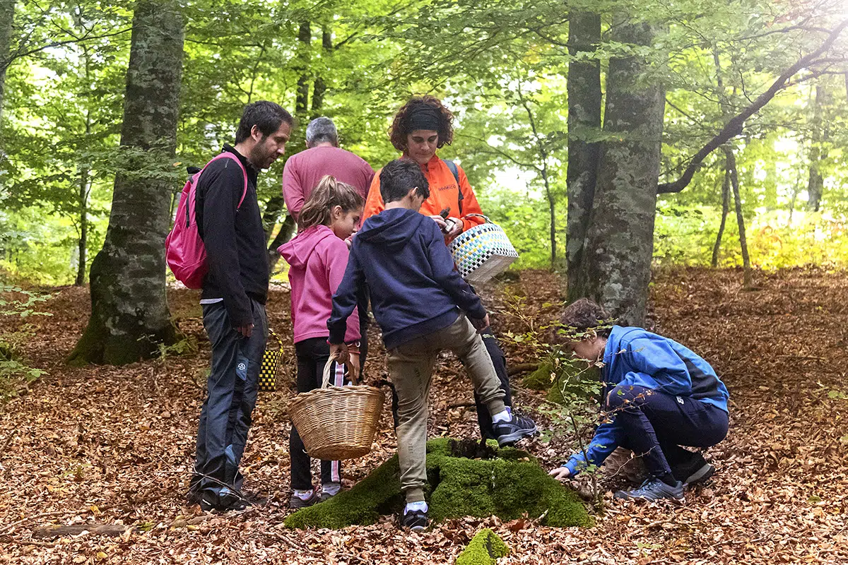Micología, jornadas y ferias que no te puedes perder este otoño en Navarra