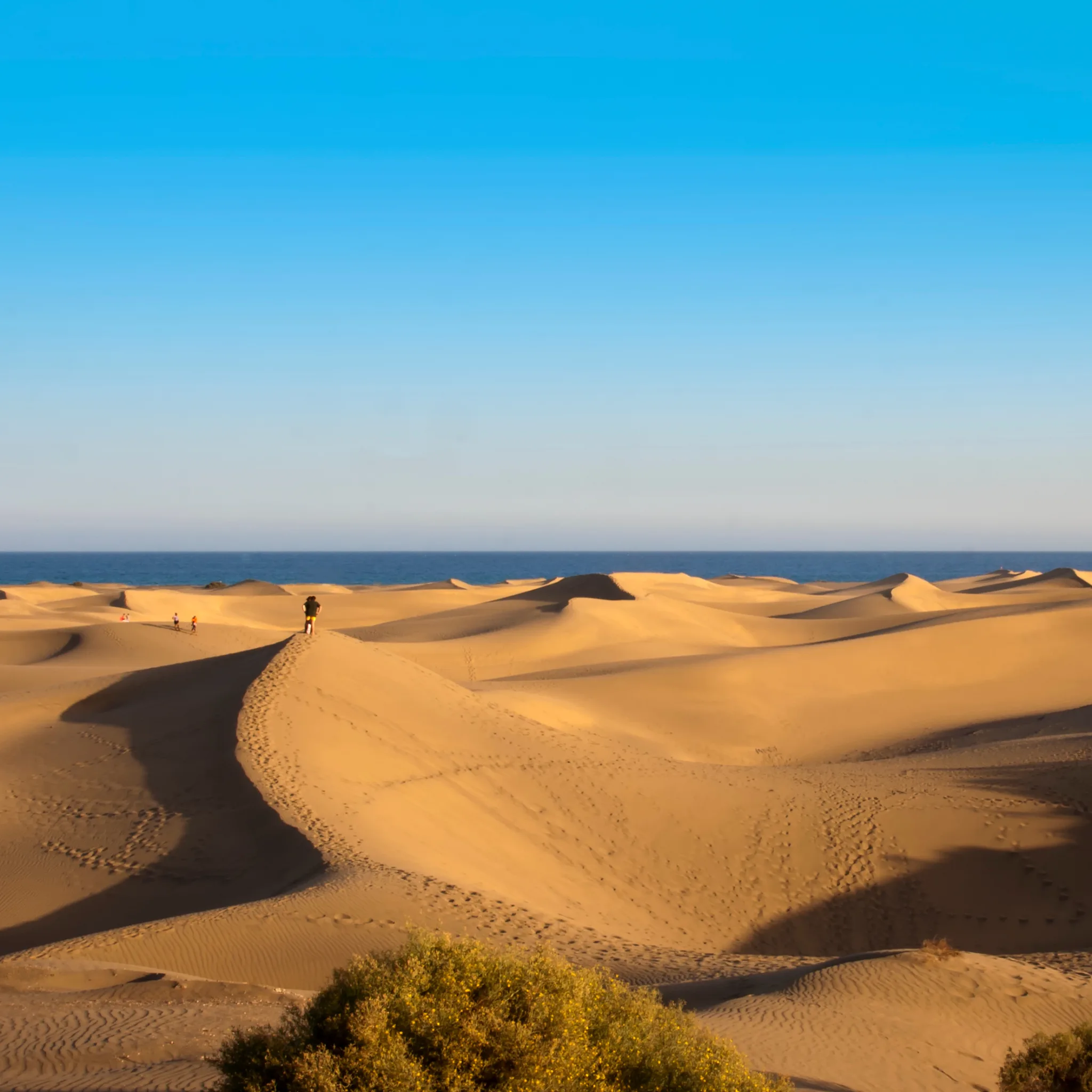 Playa de Maspalomas. Gran Canaria