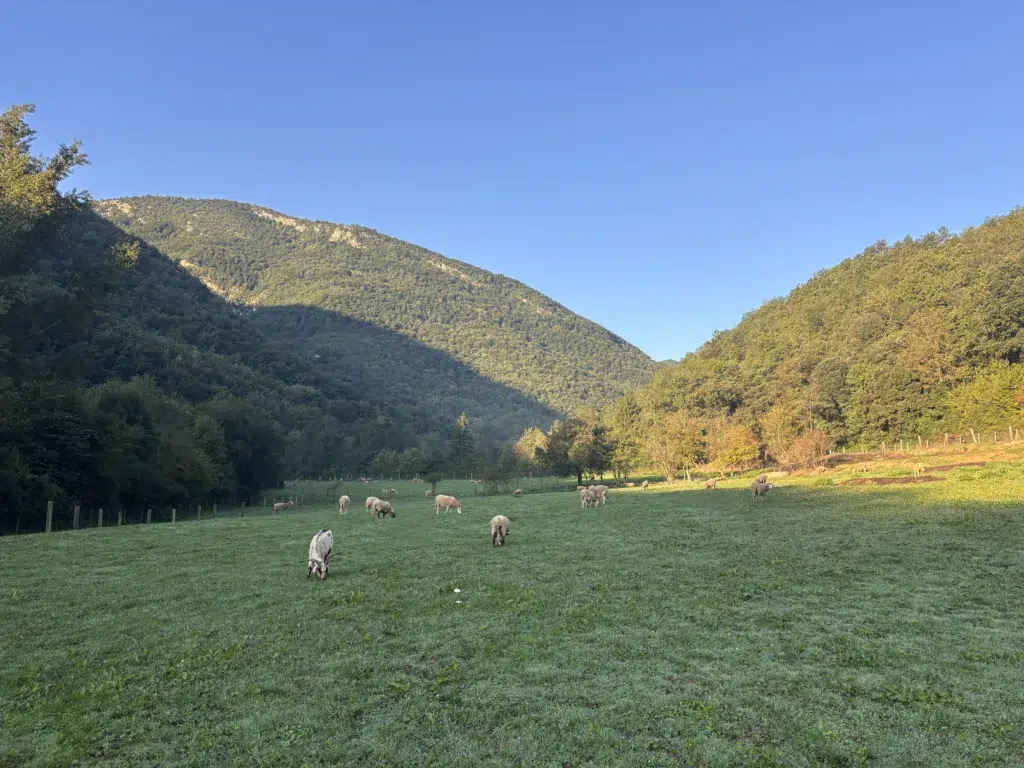 Fundación Santuario Gaia.