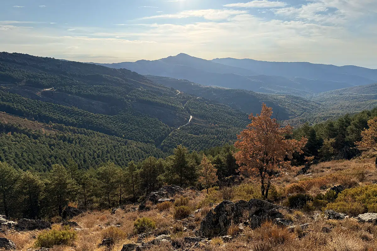 Puebla de la Sierra Mirador en Puebla de la Sierra. Sierra Norte de Madrid