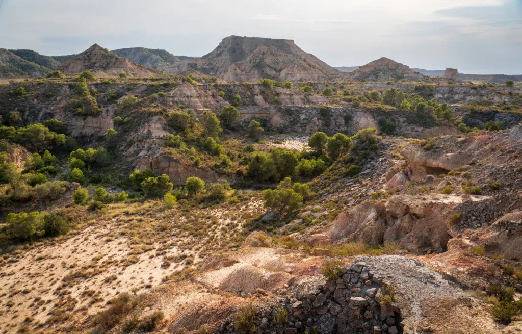 Los Monegros. Por Zack Frank.