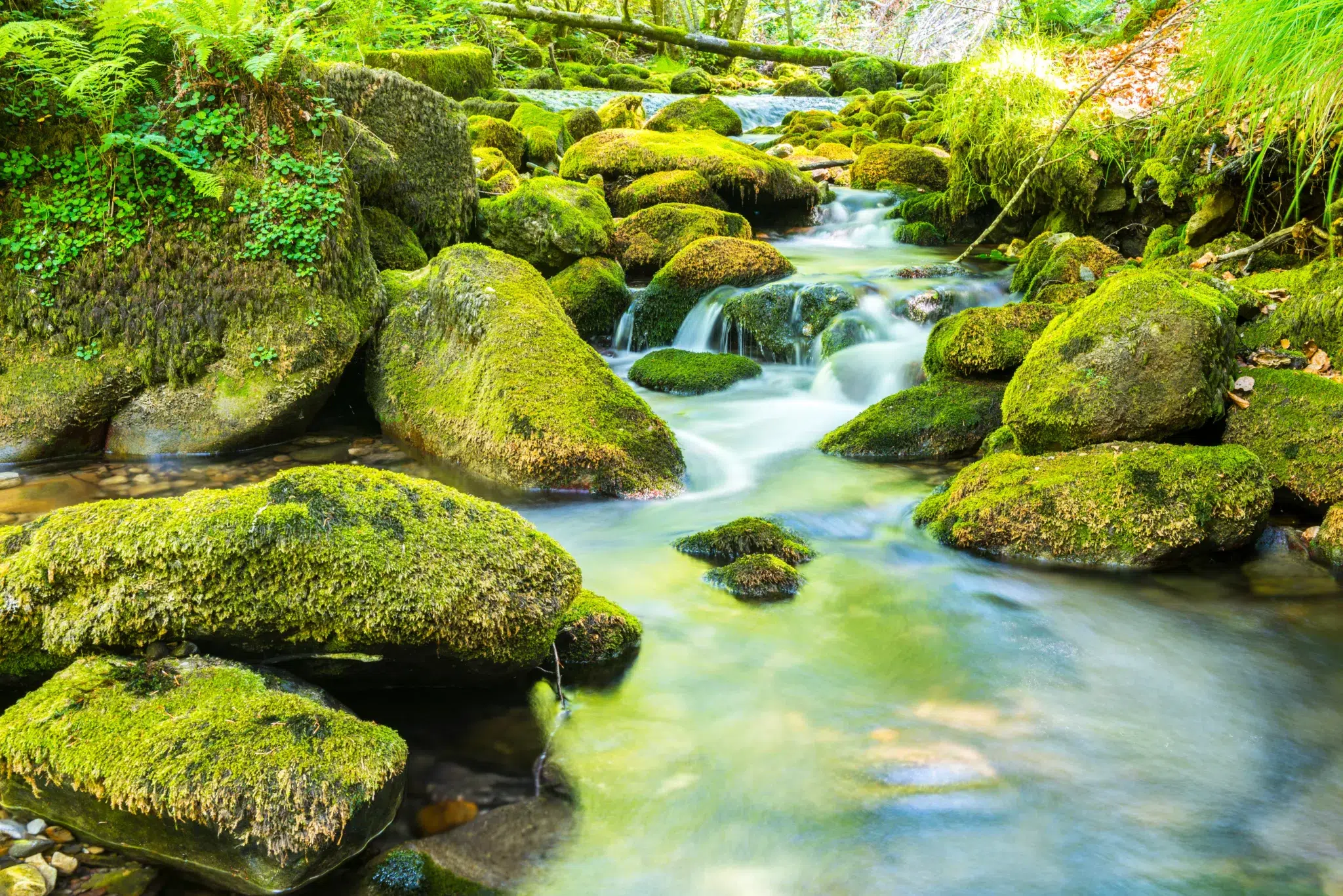 La ruta secreta de Álava que lleva a un rincón de agua cristalina
