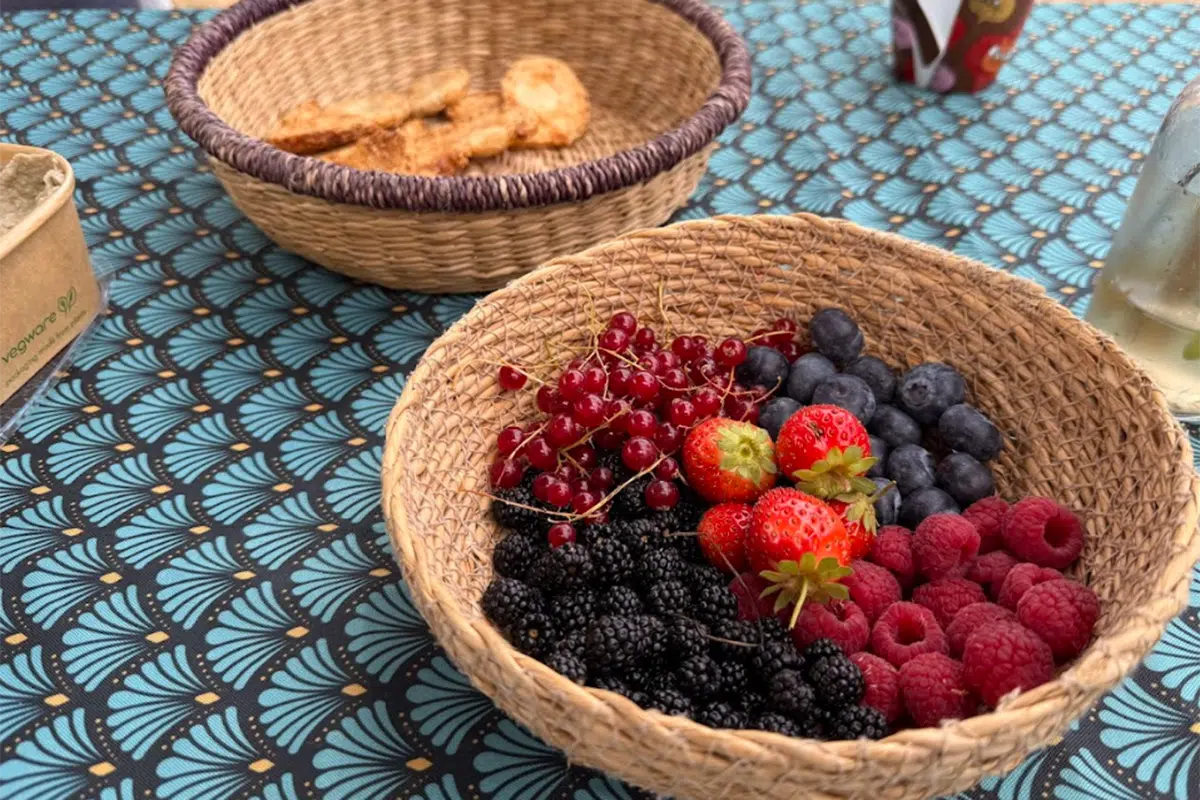 frutos rojos Cosecha de frutos rojos en Sierra Norte de Madrid.