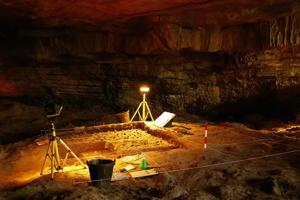 Interior de la Cueva de Altamira. Por Rechitan Sorin