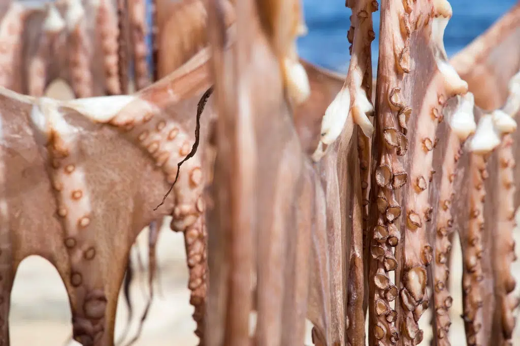 "Polp sec" de Dénia. Por ANADEL