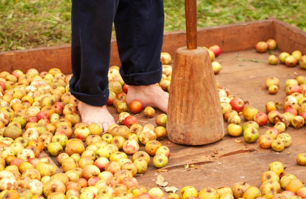 Antigua prensa para la elaboración de sidra. Por pintoreduardo