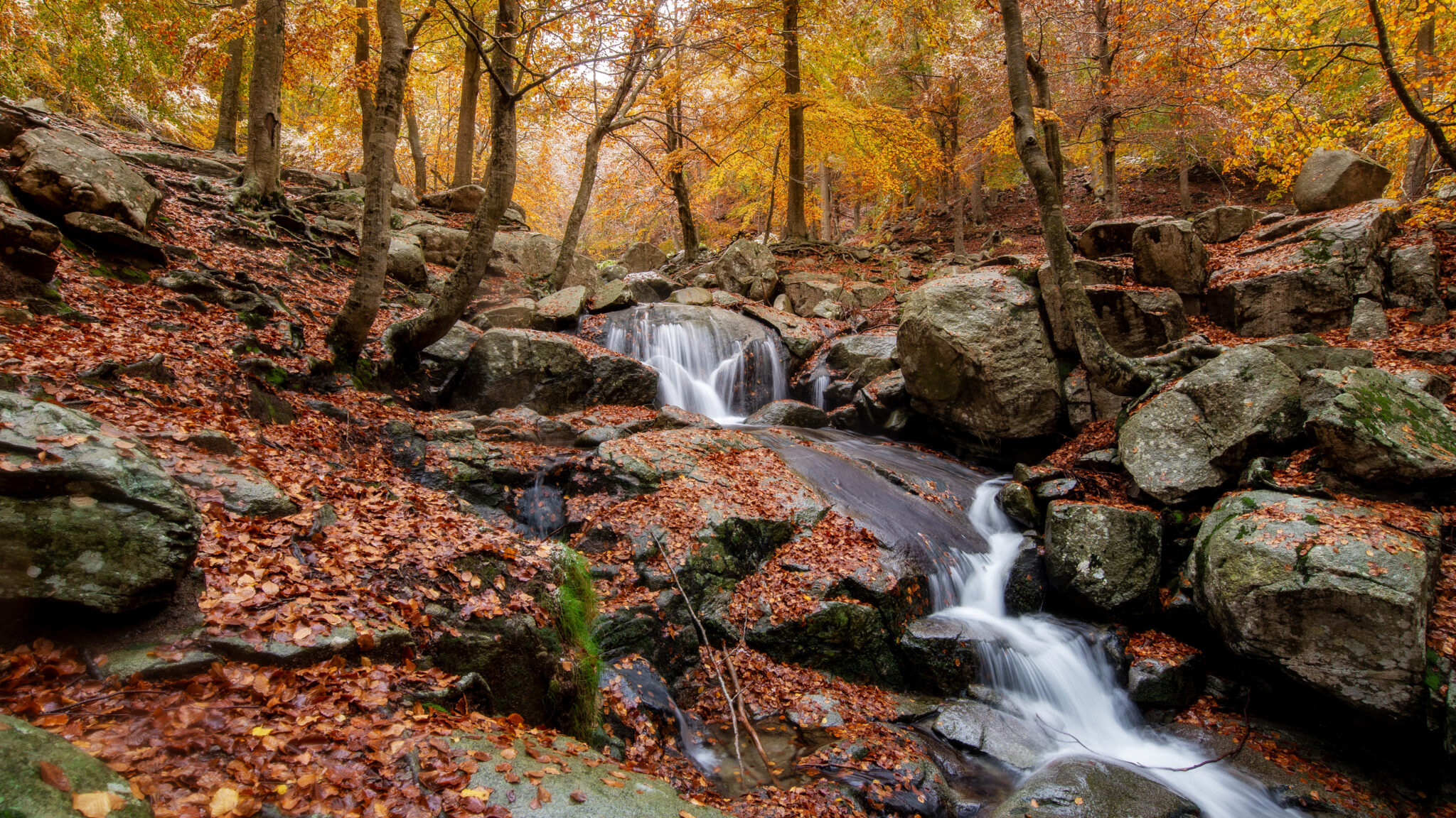 Otoño en el Montseny, en Barcelona. Por Miguel