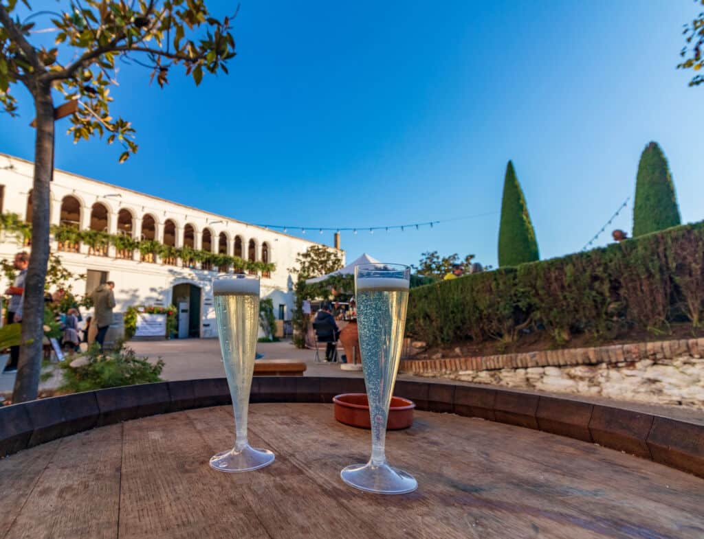 Cava en Sant Esteve de Sesrovires (Barcelona). Por Fredy Ferreri