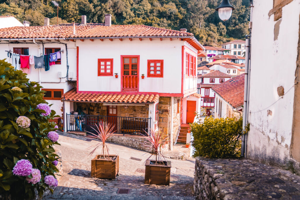 Tazones. Por Miguel.