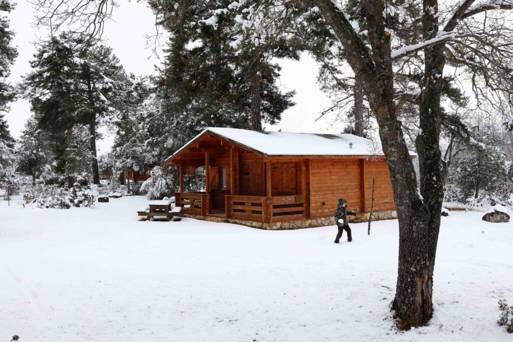 Cabañas Llano de los Conejos (Cuenca)