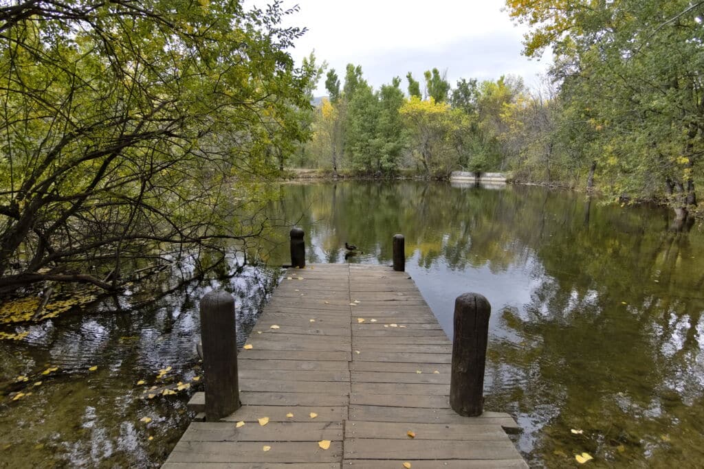Bosque de Finlandia, en Madrid. Por Jose.