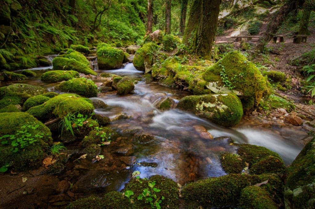 Fragas do Eume, en A Coruña. Por Antonio.