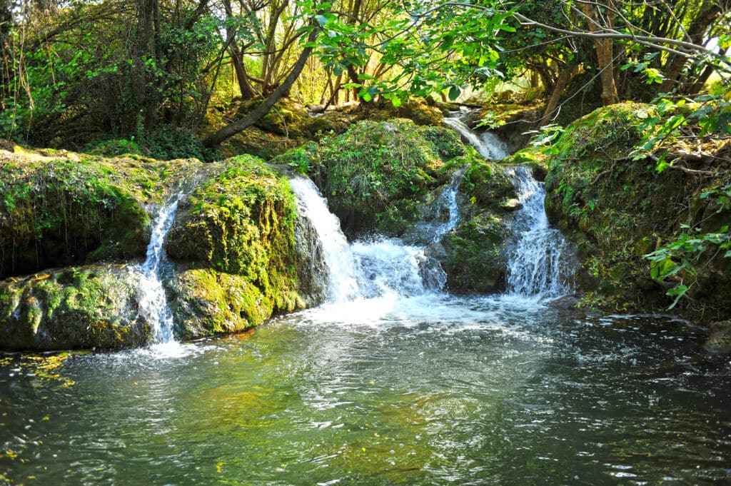 Bosque en la rivera del Huéznar. Por  joserpizarro.