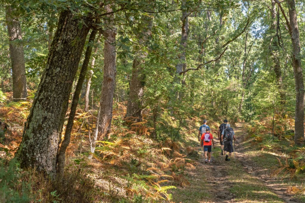 Excursión por el Parque Natural de Izki, en Álava. por Néstor MN.