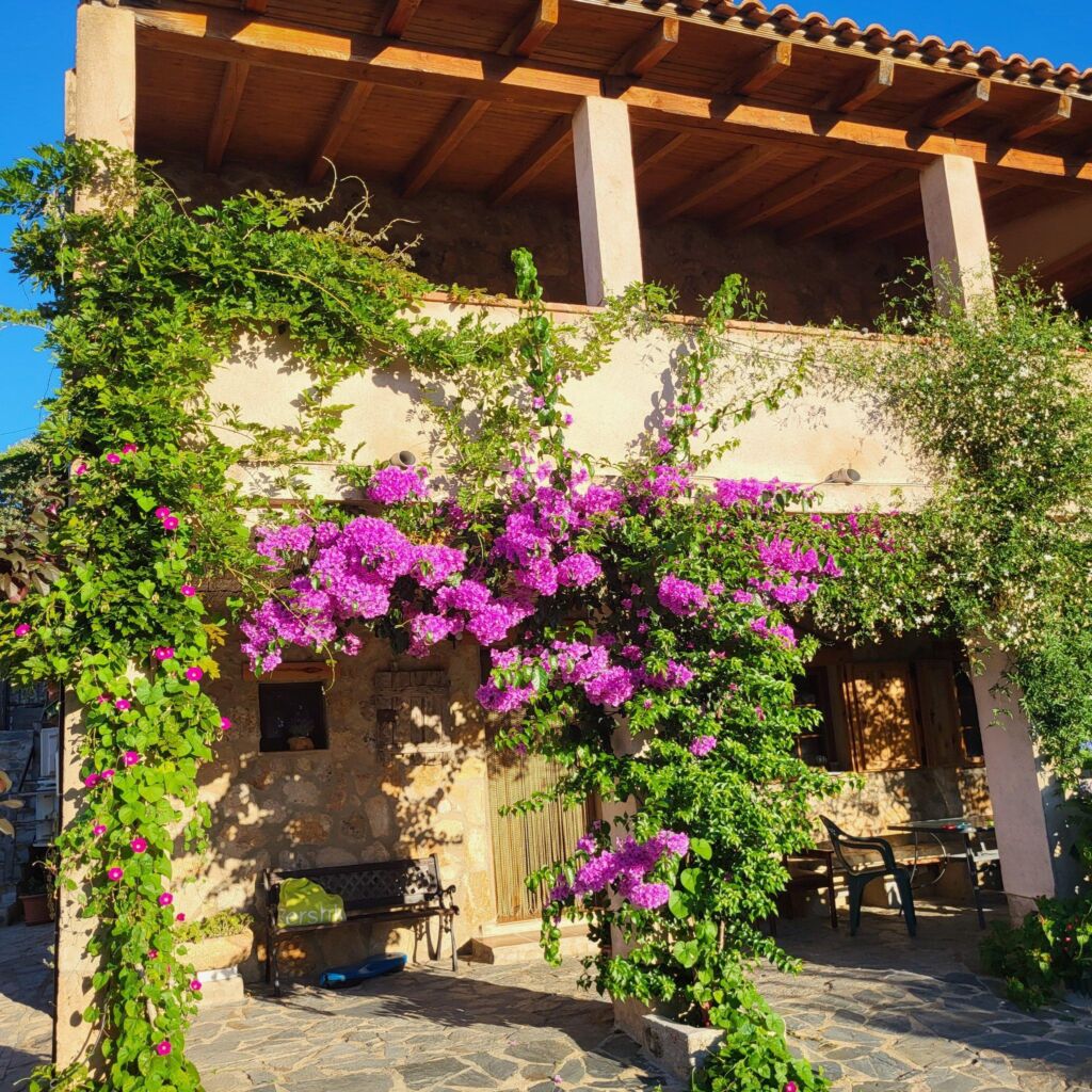 Balcón del Camino Viejo