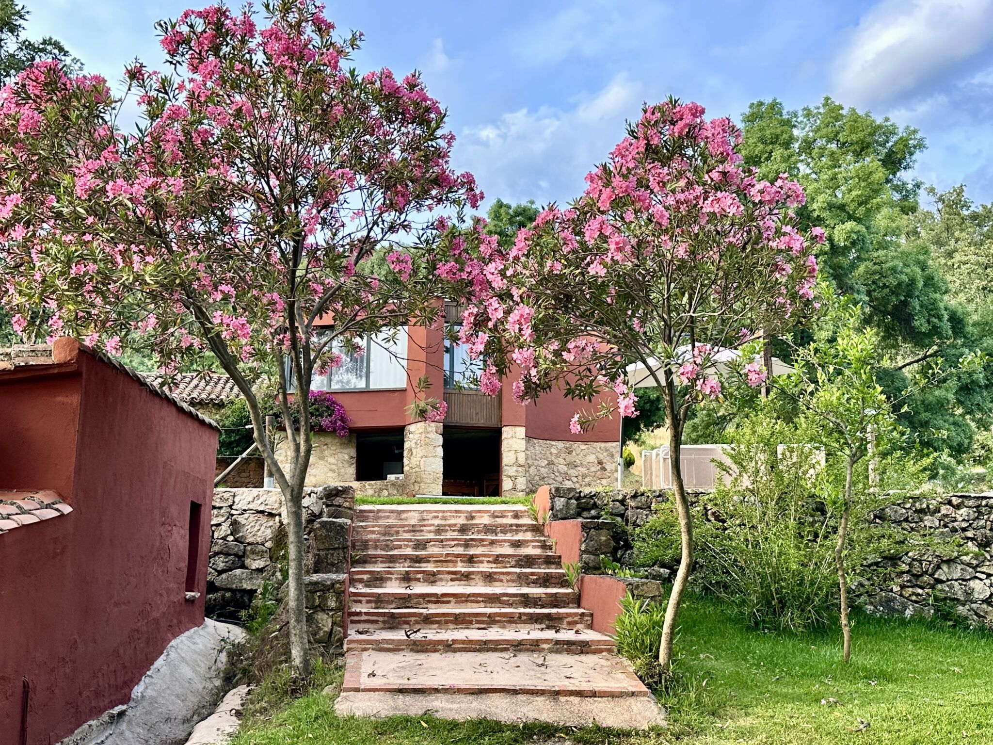 Primavera a domicilio: casas rurales donde ver florecer el campo desde la ventana
