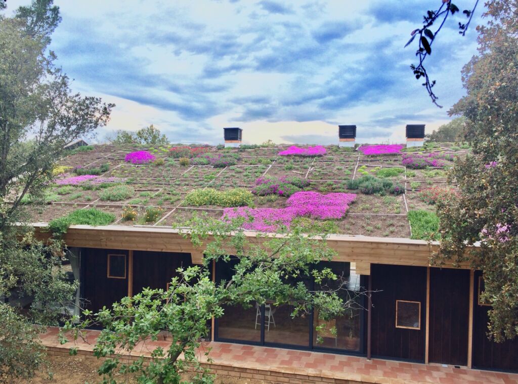 El Bosc d'Ali Baba (Girona)