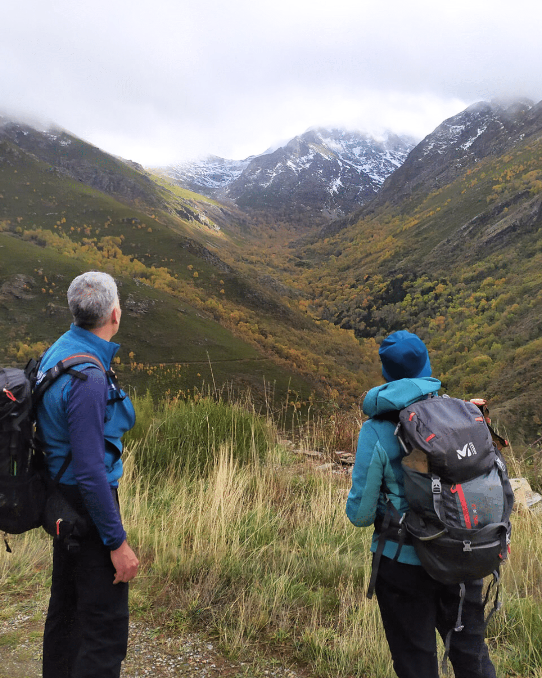 Dos excursionistas con mochilas se encuentran en una ladera cubierta de hierba, mirando hacia una lejana montaña nevada rodeada de follaje otoñal verde y amarillo bajo un cielo nublado.