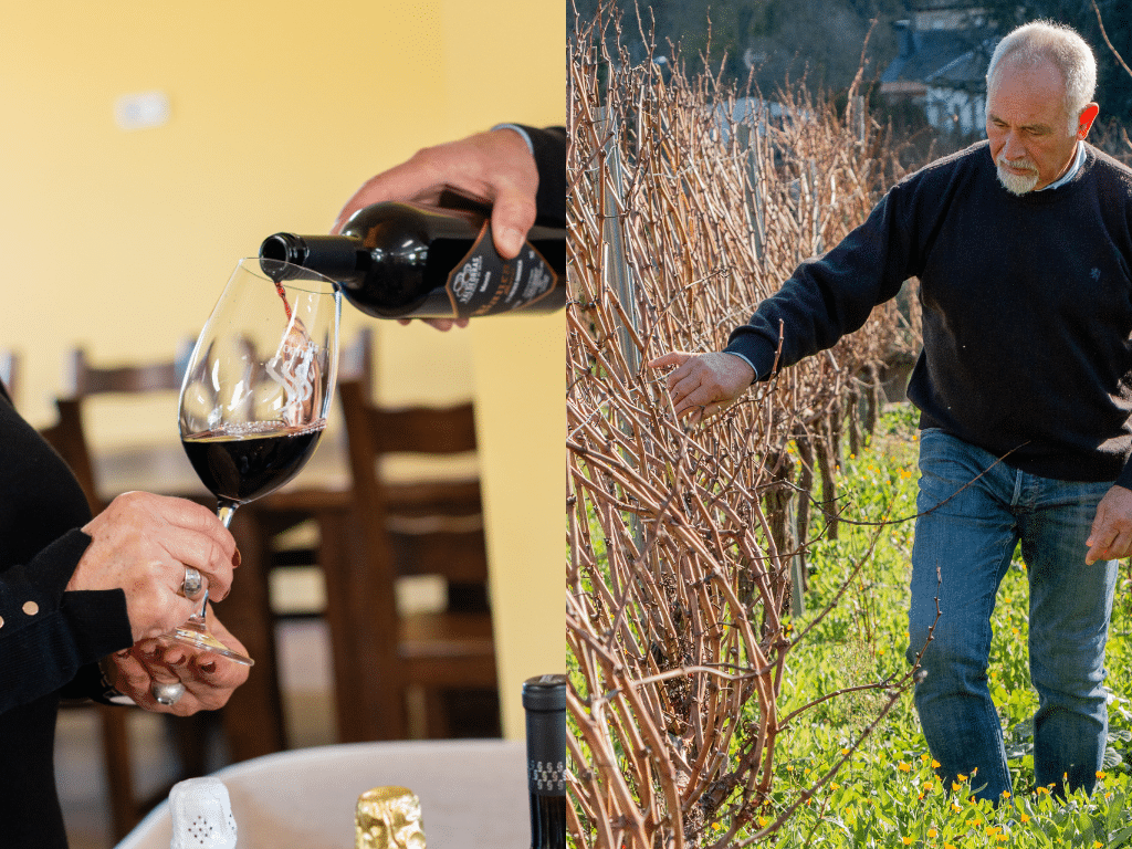 Imagen dividida: A la izquierda, una persona sirve vino tinto en un vaso en una mesa. A la derecha, un hombre inspecciona vides en un viñedo, rodeado de viñas desnudas y hierba verde.