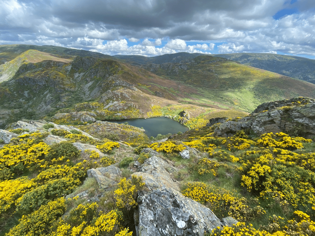 Paisaje de montaña con terreno rocoso y vibrantes flores silvestres amarillas en primer plano, con vistas a un pequeño lago y verdes colinas bajo un cielo parcialmente nublado.