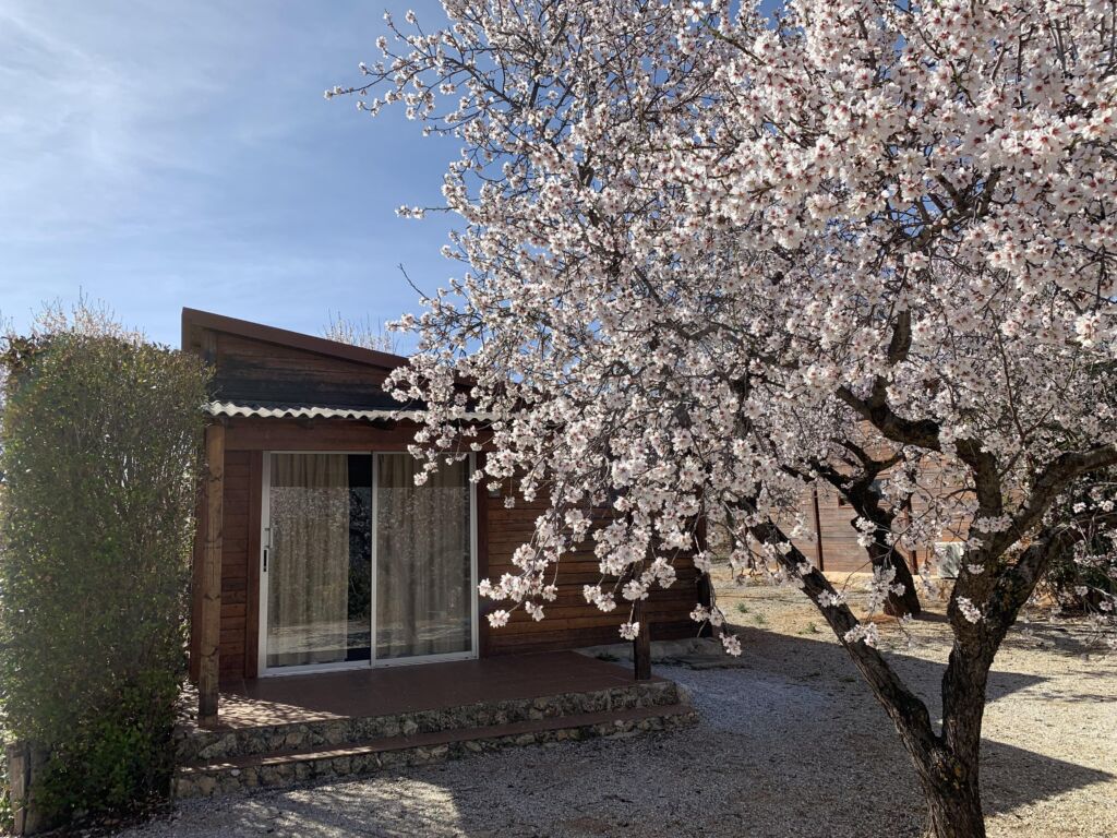 Cortijo Helao (Jaén)