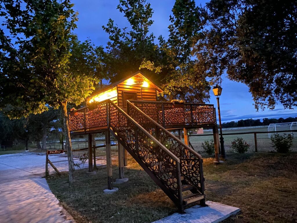 Finca Casaes (Toledo).
