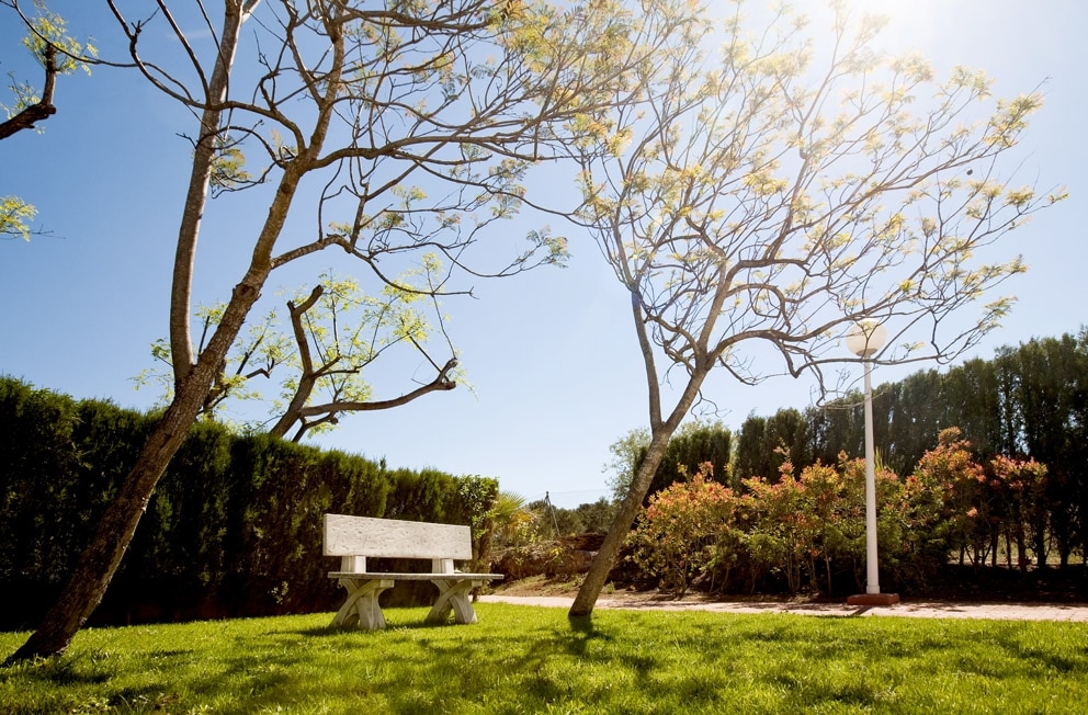 La Coma Green (Borriol, Castellón).