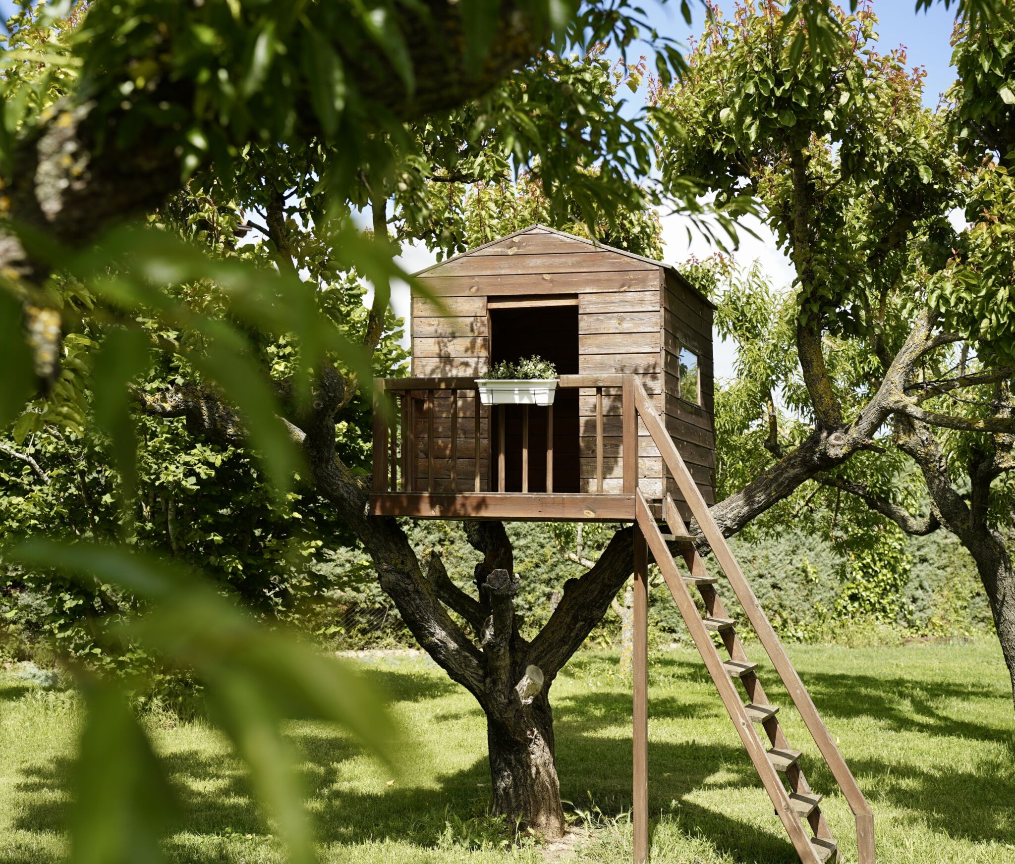 Casas rurales con casita en el árbol: ¡aventura asegurada para tus niños!