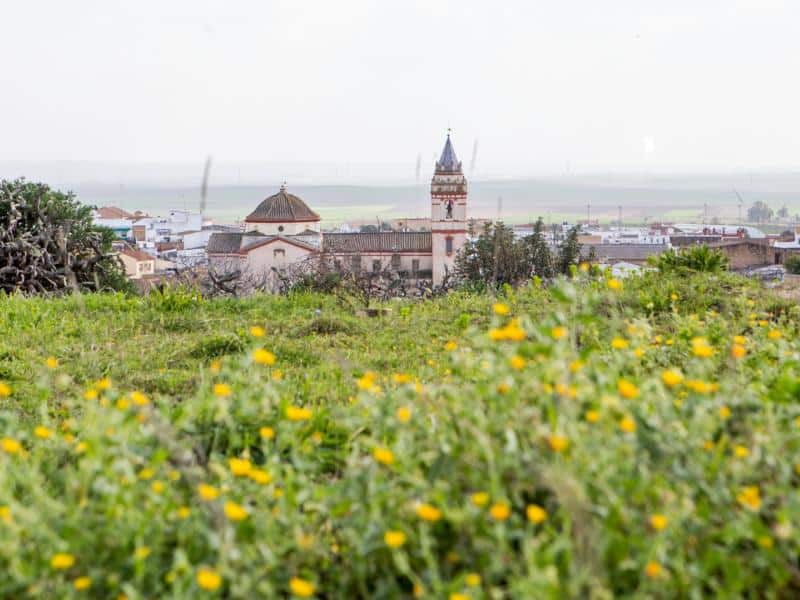 Aznalcóllar (Sevilla).