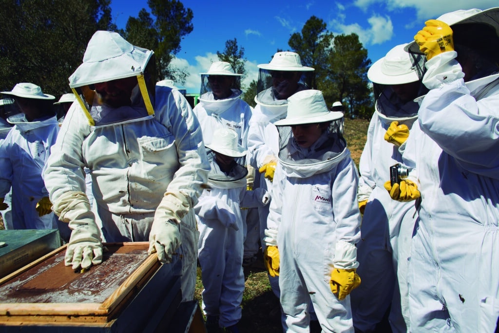 Colmenar divulgativo de Miel de Muria. Foto de la organización.