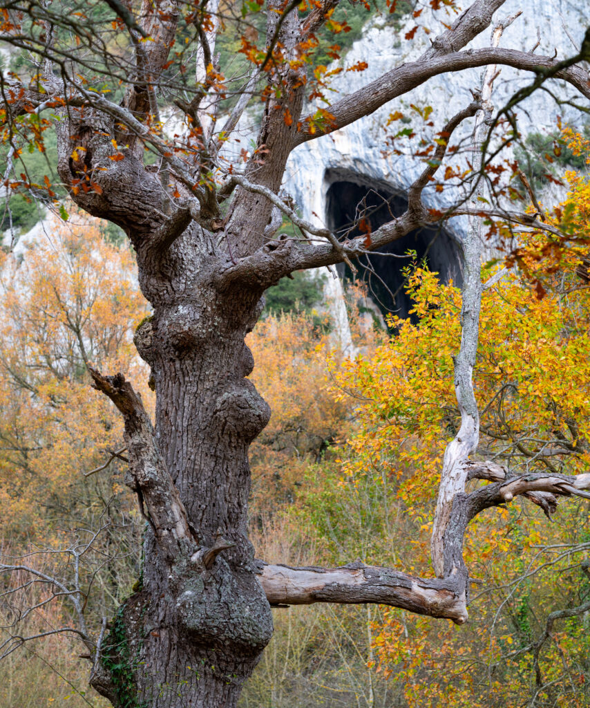 La Cueva de La Leze, en otoño (Álava). Por JUAN CARLOS MUNOZ