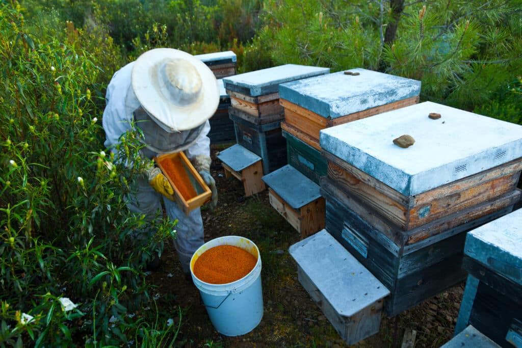 Miel de Villuercas-Ibores. Por JUAN CARLOS MUNOZ.