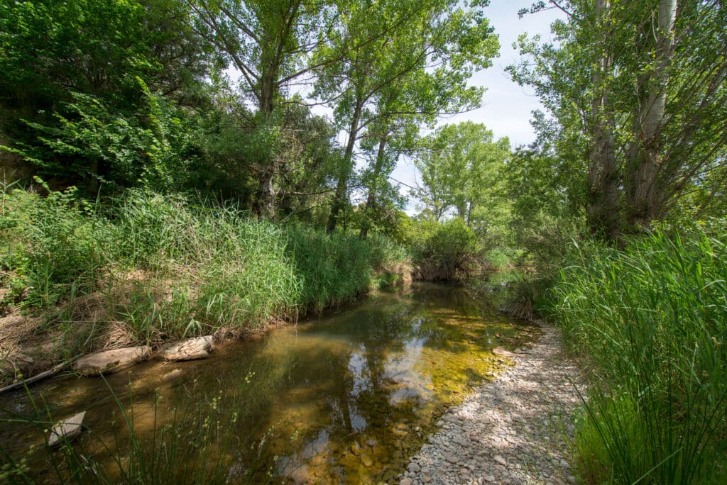 Río Alcalá, Teruel. Por vicenfoto
