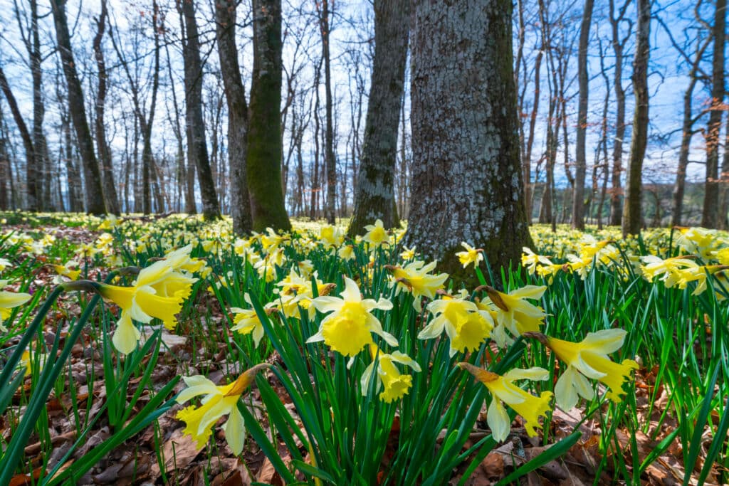 Parque Natural del Gorbeia, Vizcaya. Por JUAN CARLOS MUNOZ
