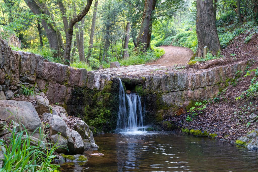 Primavera en el Parque natural del Montseny (Barcelona).