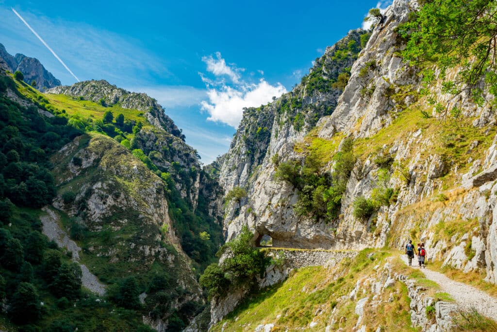 Un estrecho sendero serpentea por una ladera escarpada y rocosa de exuberante vegetación, bajo un cielo azul brillante. Se ven varios excursionistas por el sendero, rodeados de espectaculares acantilados.